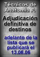 TECNICOS ESPECIALISTAS DE ANATOMIA PATOLOGICA: ADJUDICACION DE DESTINOS