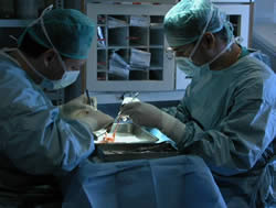 La espera para trasplante renal es en Asturias de 12 meses y a nivel estatal se está en 3 años 