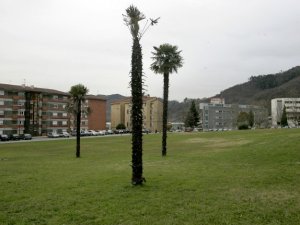 Frente al Hospital Valle del Nalón
