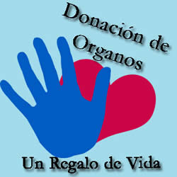 20110421213603-donacion-de-organos.jpg