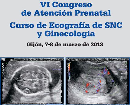 Los días 7 y 8 de marzo de 2013 se celebra en el Salón de actos del Hospital de Cabueñes de Gijón el VI Congreso de Atención Prenatal y el Curso de Ecografía de SNC y Ginecología.